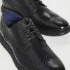 Cole Haan Original Grand Wingtip Oxfords 1 Cole Haan Original Grand Wingtip Oxfords -Shopbop chaan30343129ed q3 2 0. UX357 QL90