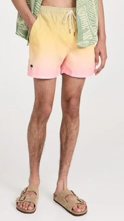 OAS 4" Swim Shorts