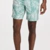 RAILS Kian Swim Shorts 1 RAILS Kian Swim Shorts -Shopbop rails316611f260 1680294071746 2 0. UX357 QL90
