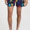 Vilebrequin Moorise 5" Swim Trunks -Shopbop vileb3013172408 1668877040893 2 0. UX357 QL90