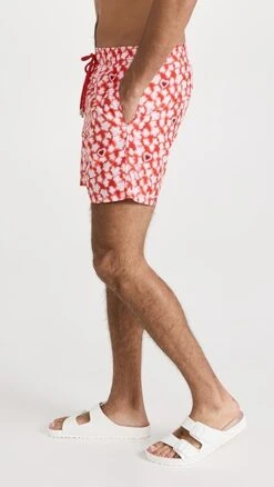 Vilebrequin Moorea 5" Swim Trunks -Shopbop vileb3013477476 1666797887862 2 0. UX357 QL90