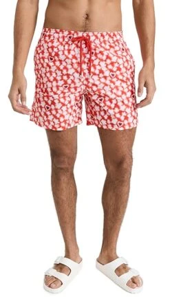 Vilebrequin Moorea 5" Swim Trunks -Shopbop vileb3013477476 1666797888030 2 0. UX357 QL90