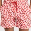 Vilebrequin Moorea 5" Swim Trunks -Shopbop vileb3013477476 1666797888754 2 0. UX357 QL90